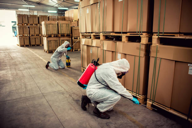 Pest Prevention Services in Rothsville, PA