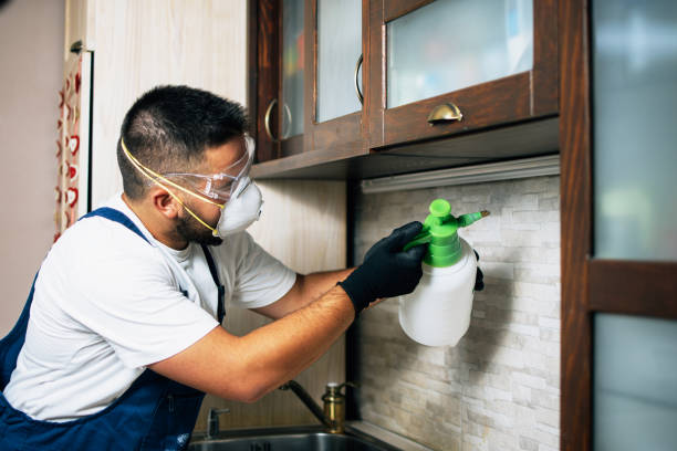 Best Residential Pest Control  in Rothsville, PA