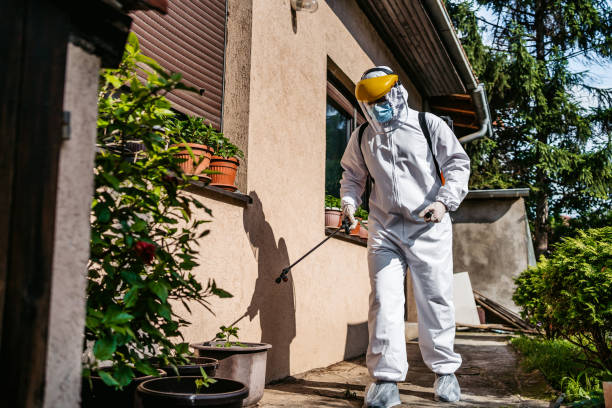 Best Pest Removal Services  in Rothsville, PA