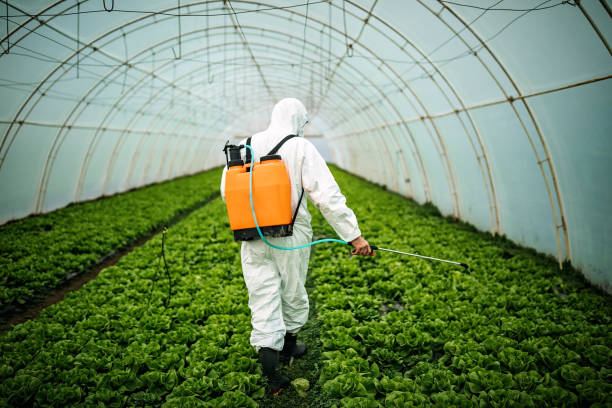 Pest Control Cost in Rothsville, PA