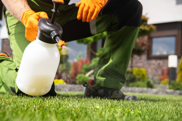 Best Emergency Pest Control  in Rothsville, PA