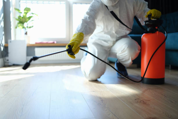 Best Flea Control Services  in Rothsville, PA
