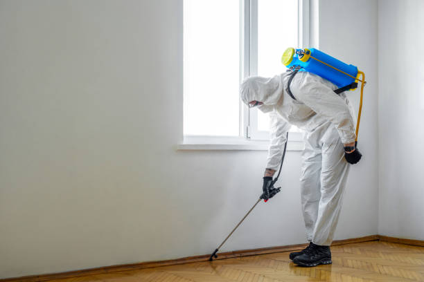 Best Pest Inspection Near Me  in Rothsville, PA