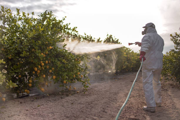 Best Wildlife Control Services  in Rothsville, PA