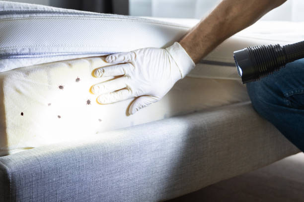 Best Pest Prevention Services  in Rothsville, PA