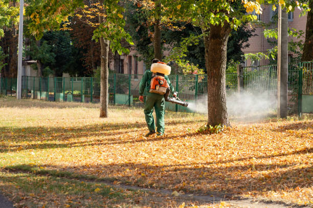 Best Commercial Pest Control Services  in Rothsville, PA