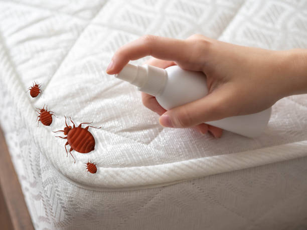 Best Affordable Pest Control Services  in Rothsville, PA