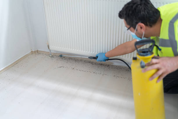 Best Cockroach Control Services  in Rothsville, PA