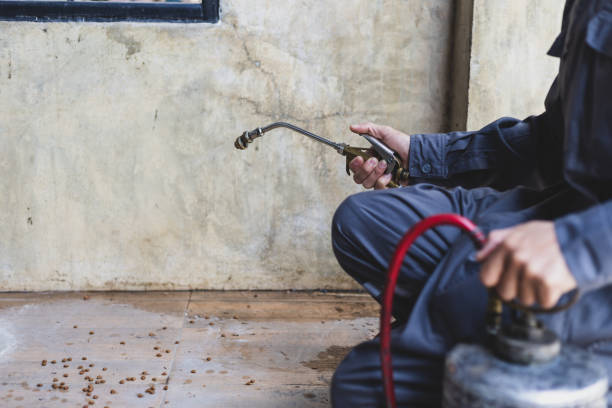 Best Pest Inspection Near Me  in Rothsville, PA